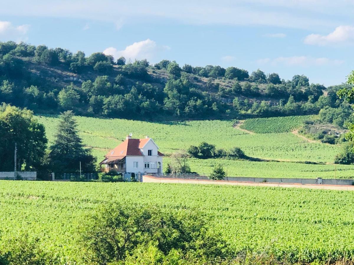 Villa De La Roseraie Rully  Экстерьер фото